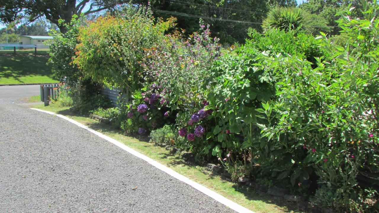 Cozy Haven - Apartment Waihi